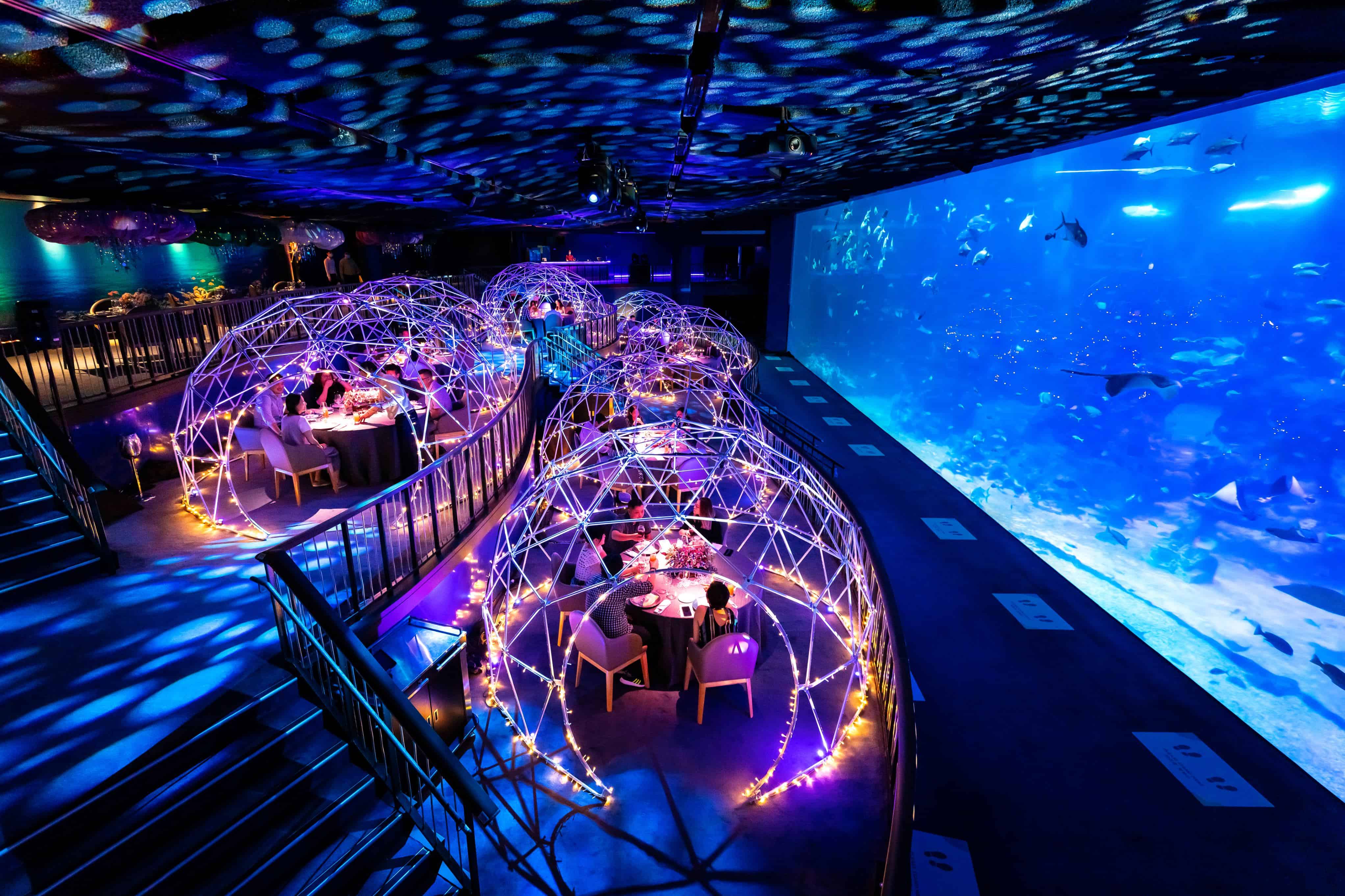 Can We Keep Aquarium In Dining Room