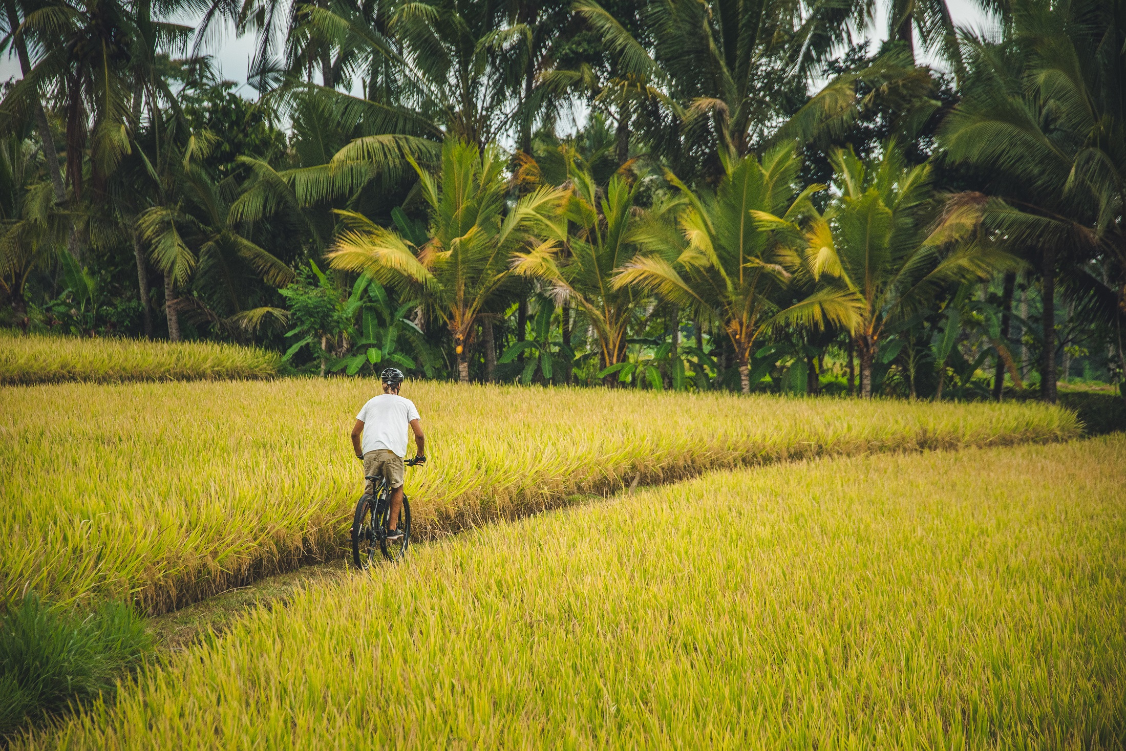 COMO Uma Ubud Journey