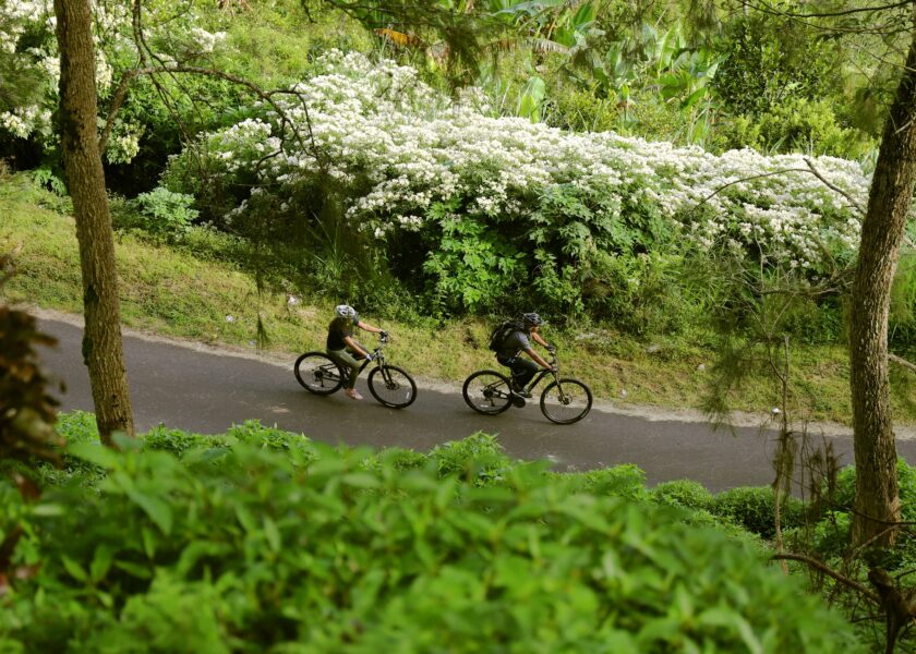 COMO Uma Ubud Journey