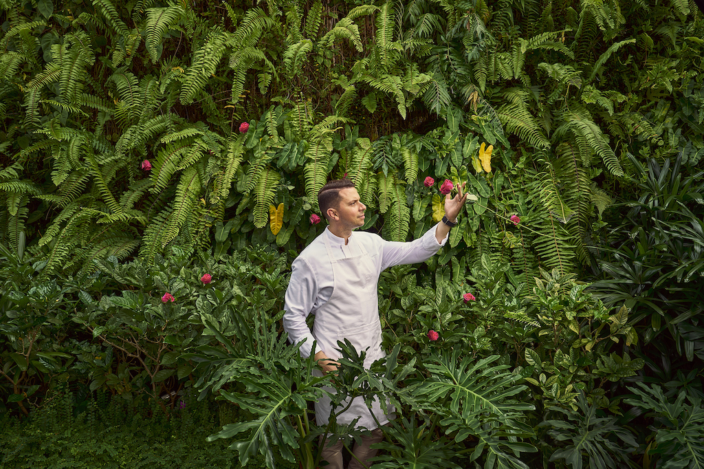 Krug flowers, Krug presents Flowers as the 10th Single Ingredient