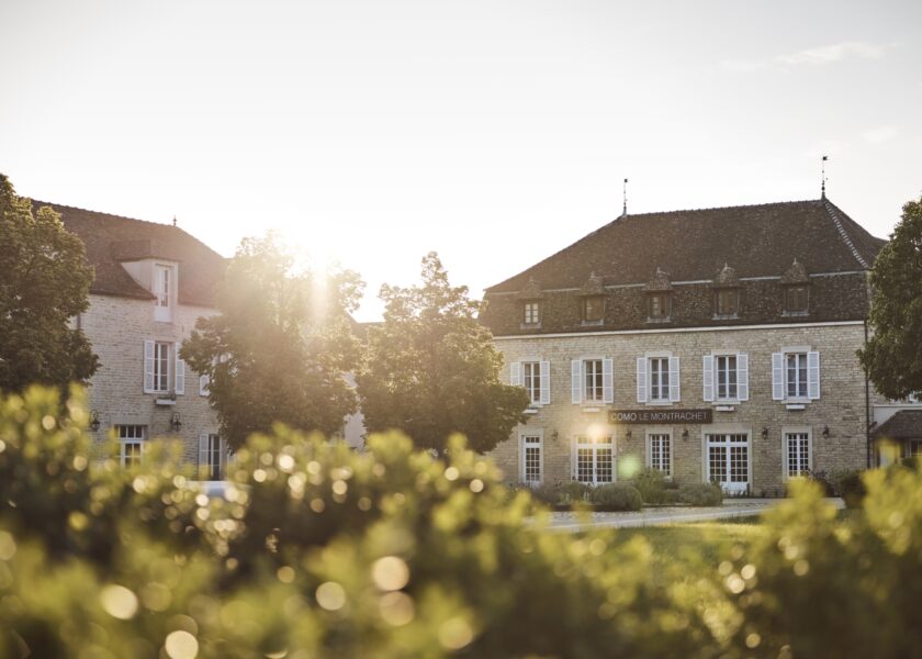 como le montrachet wine tour