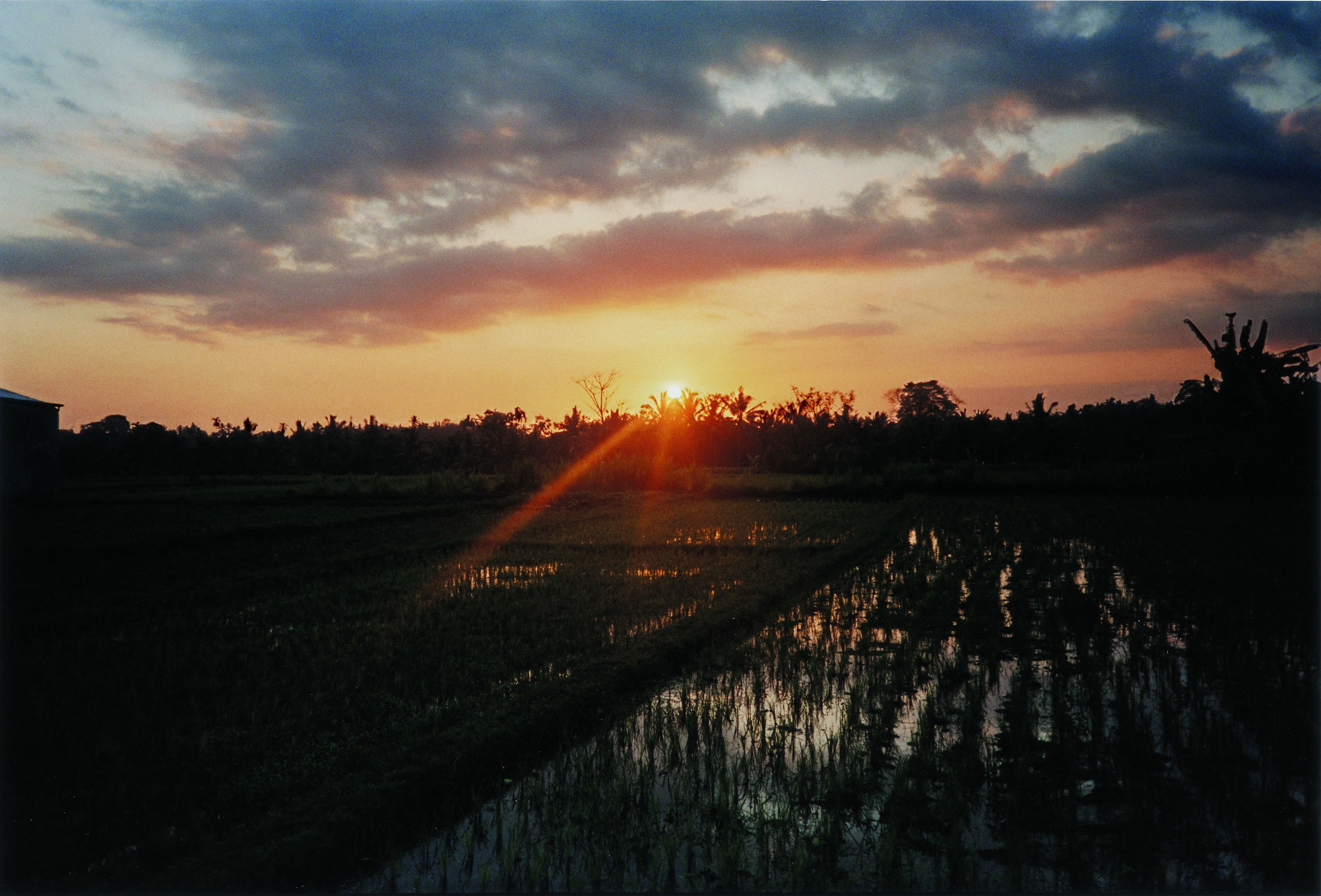 como uma ubud journey, COMO Uma Ubud invites you on two-wheel retreat &#8216;COMO Journey: Ride and Renew&#8217; with Marianne Rumantir