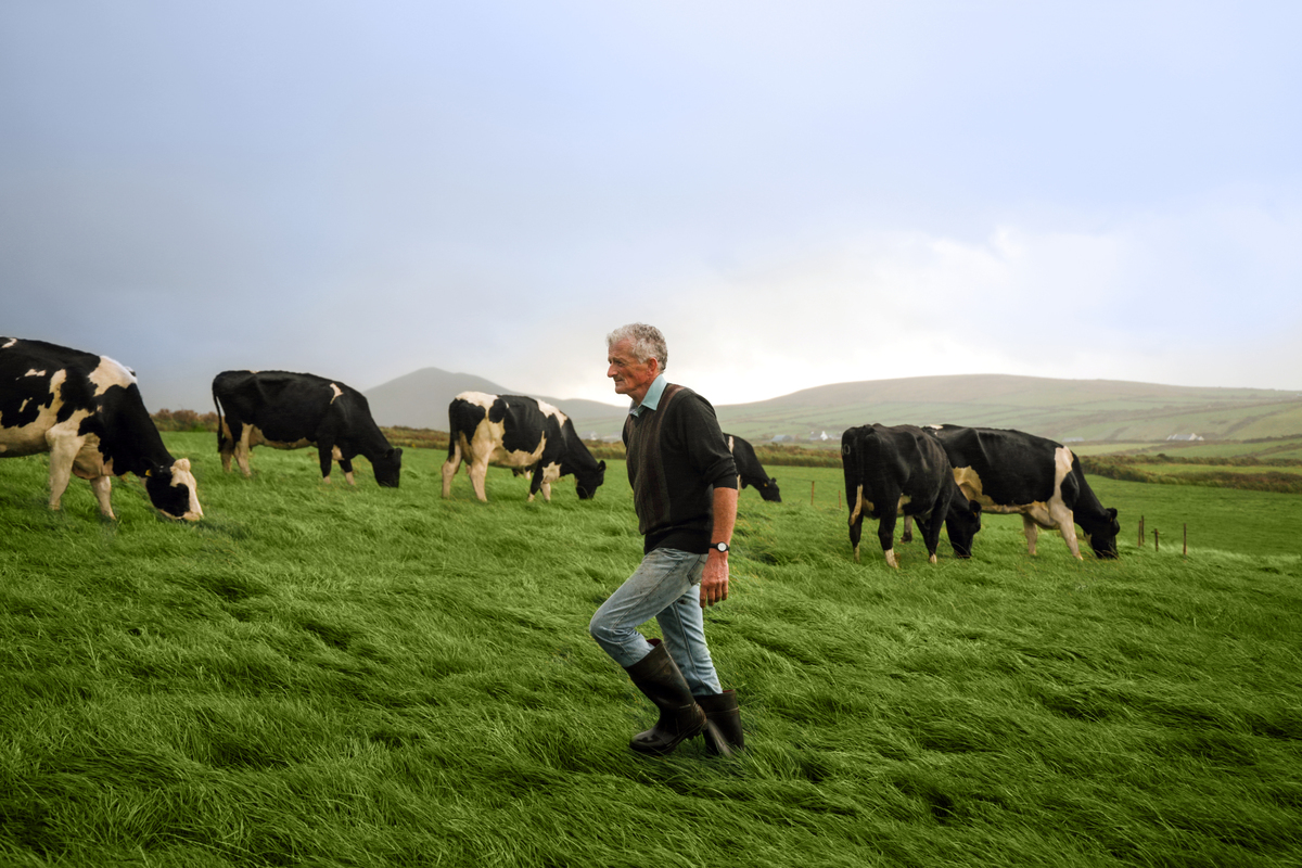 Irish Dairy, Savouring Grass-fed European Dairy from Ireland